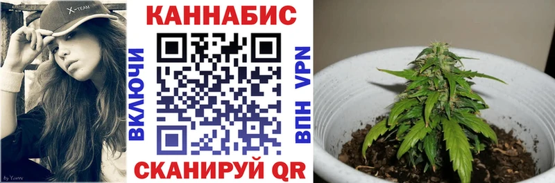 Бошки Шишки тримм  Юрьев-Польский 